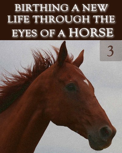 Full birthing a new life through the eyes of a horse part 3