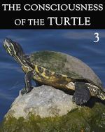 Feature thumb the consciousness of the turtle part 3