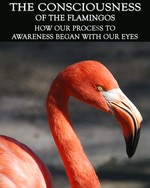 Feature thumb how our process to awareness began with our eyes the consciousness of the flamingos