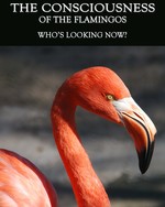 Feature thumb who s looking now the consciousness of the flamingos
