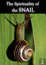 Feature thumb the spirituality of the snail part 2