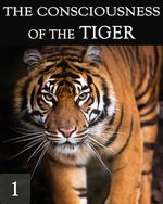Feature thumb the consciousness of the tiger part 1