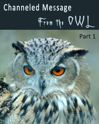 Full channeled message from the owl part 1