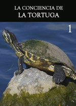 Feature thumb la conciencia de la tortuga parte 1