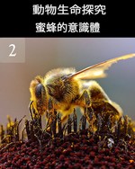 Feature thumb the consciousness of the bees part 2 ch