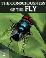 Feature thumb the consciousness of the fly part 2