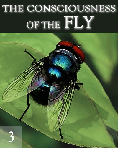 Full the consciousness of the fly part 3