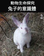 Feature thumb animal s life review consciousness of the bunnies 2 ch